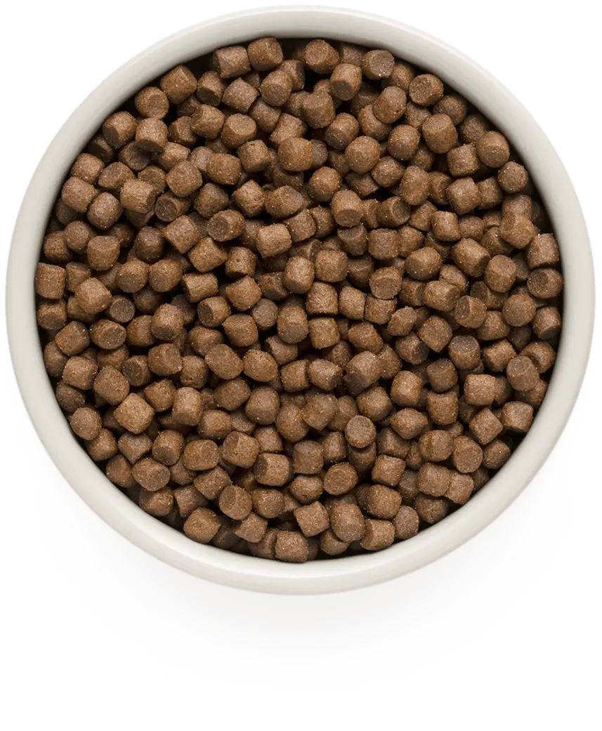 GRANDORF Lamb&Turkey Adult mini Сухой корм для взрослых собак мелких пород Ягненок-Индейка 3кг