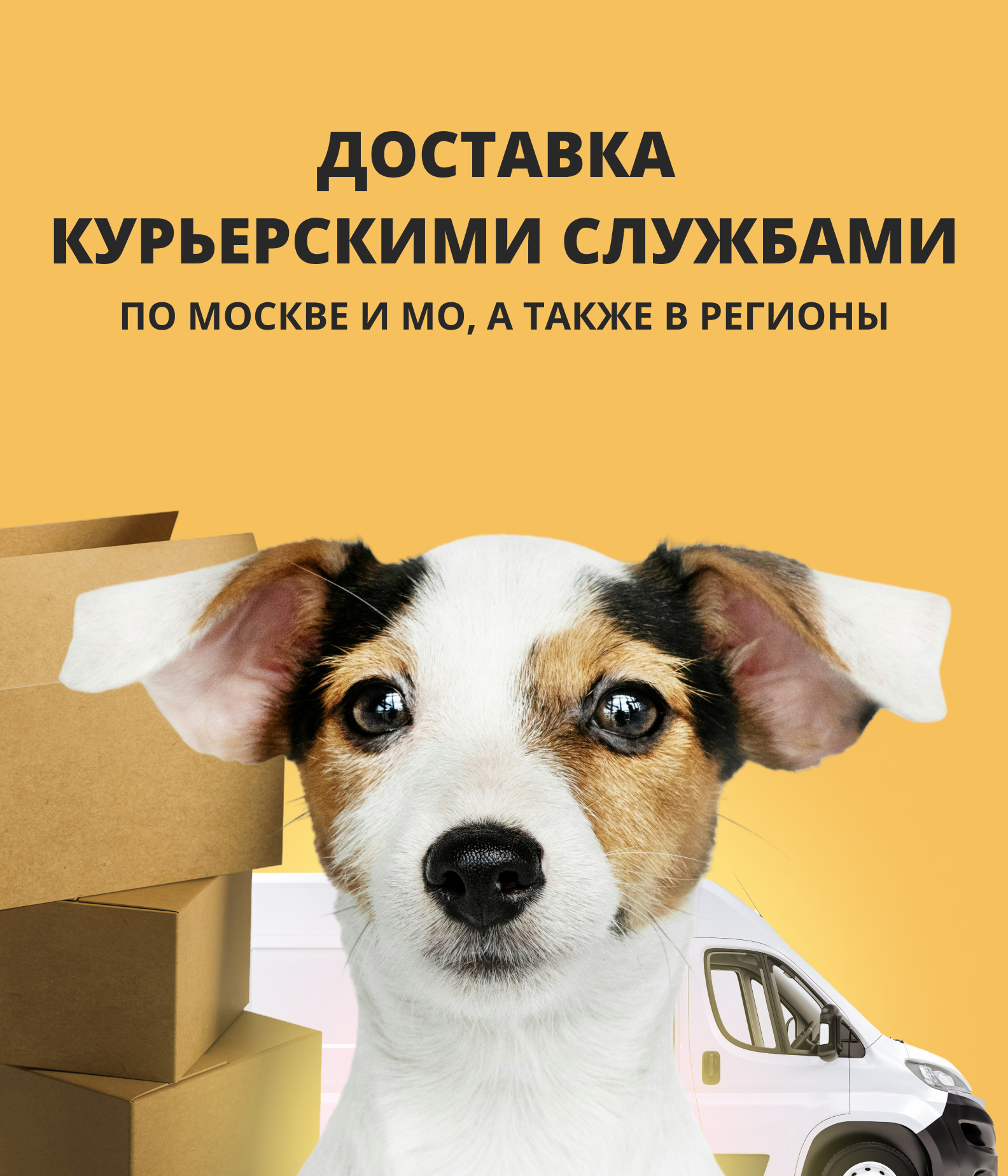 Доставка в любой регион РФ