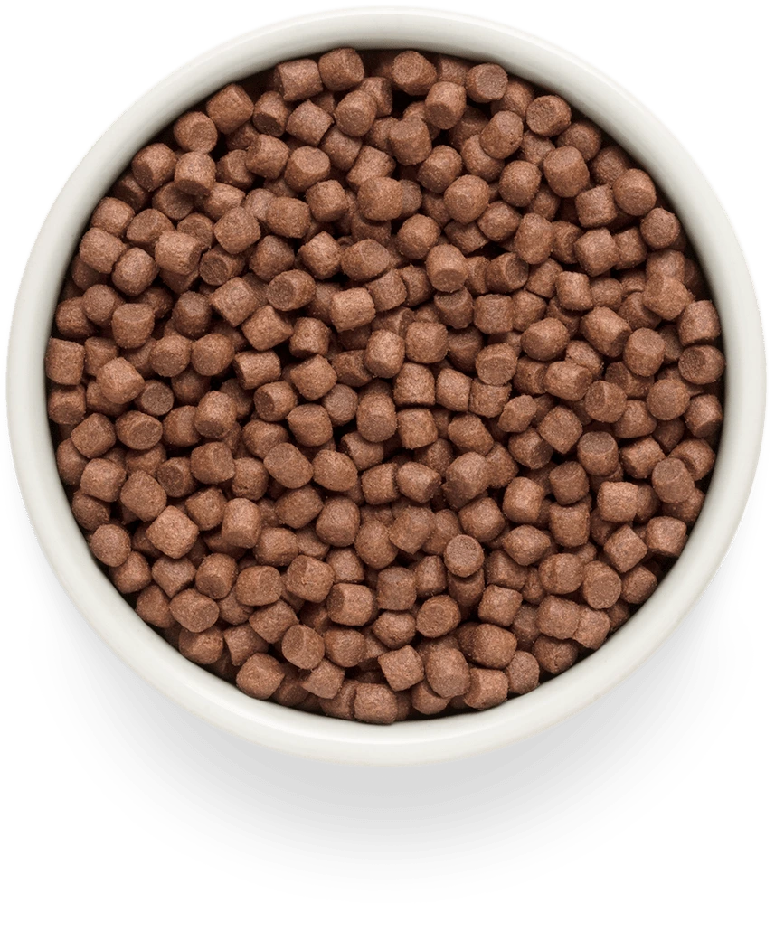 Беззерновой корм с живыми пробиотиками GRANDORF FRESH Fresh Turkey mini. Свежая индейка для мелких пород